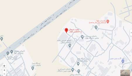 google map image